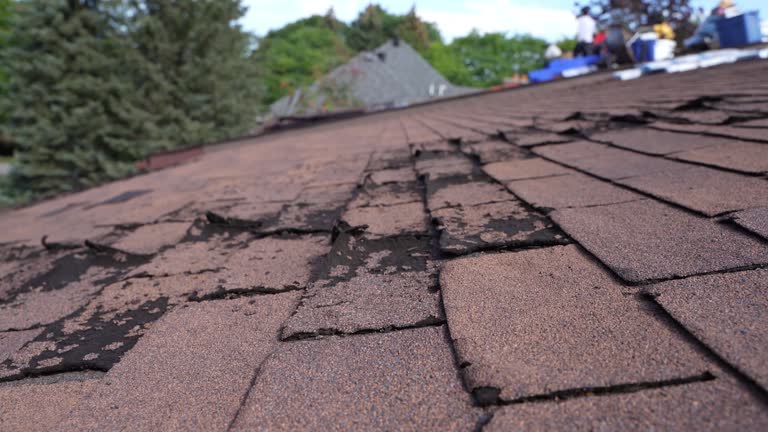 Best Green or Eco-Friendly Roofing Solutions  in Richmond, TX
