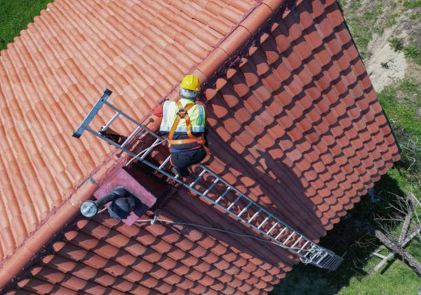 Best Solar Panel Roofing Installation  in Richmond, TX
