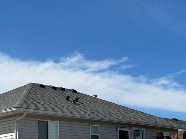 Best Roof Coating and Sealing  in Richmond, TX